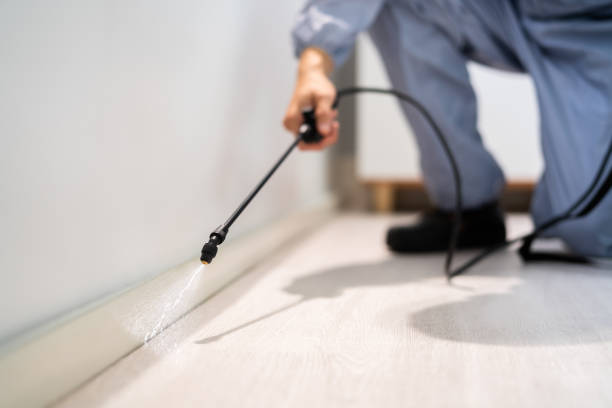 Licensed Pest Control service in Hayesville, OR - Show Me Pest Control